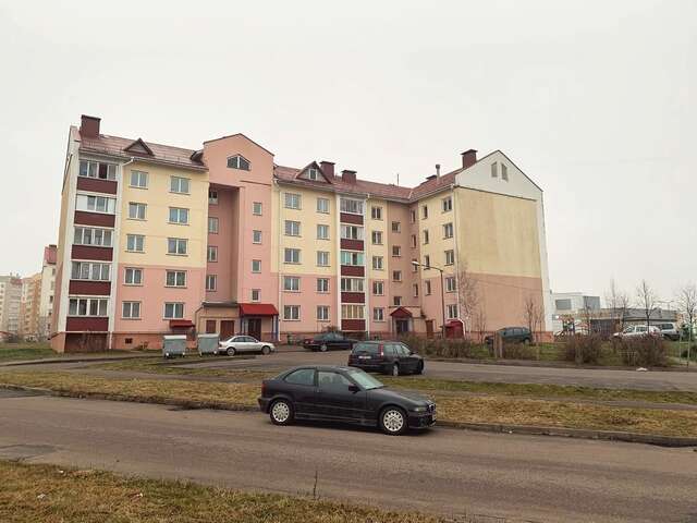 Апартаменты Уютные апартаменты со стильным интерьером. Витебск-35